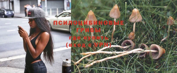 экстази Алзамай