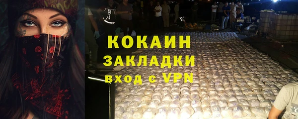 стафф Алексин