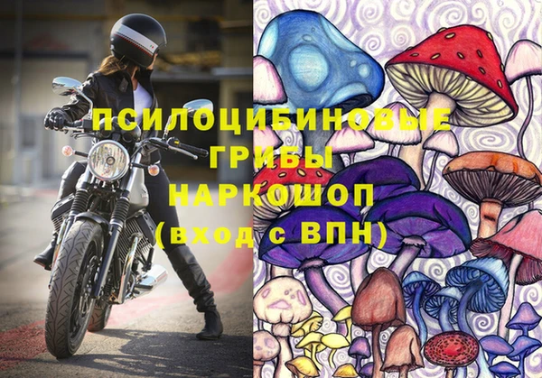 стафф Алексин