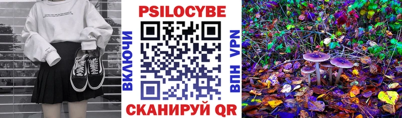 площадка наркотические препараты  блэк спрут tor  Березники  Псилоцибиновые грибы Psilocybe 