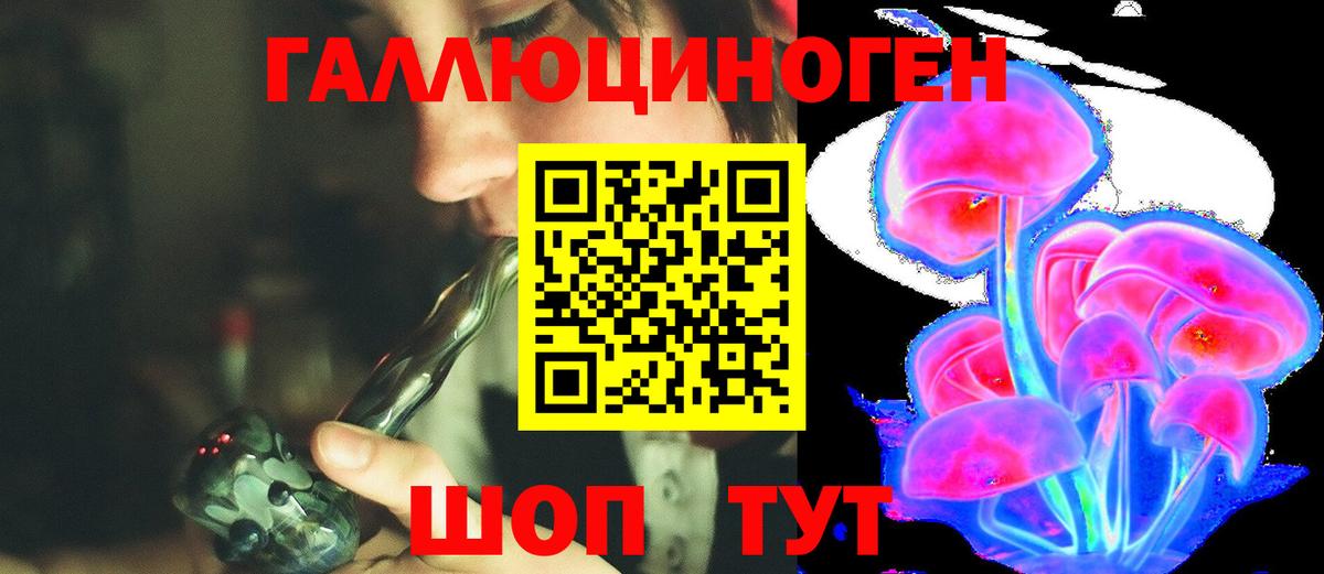 Березники  Псилоцибиновые грибы GOLDEN TEACHER  Вход с VPN 