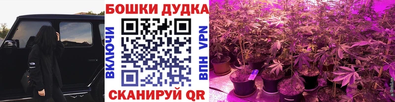 Марихуана White Widow KRAKEN маркетплейс как зайти Березники